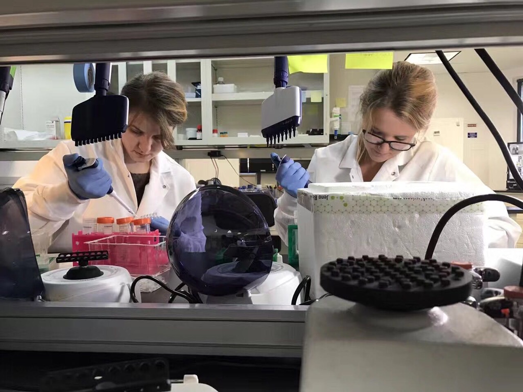 Two Centrillion researchers performing molecular biology work at a laboratory bench